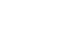 Gun logo white RGB.png