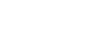 Gun logo white RGB.png